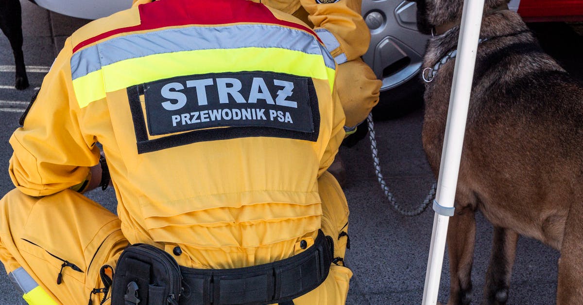 副卡实名账号：流量卡在电子政务中的应用