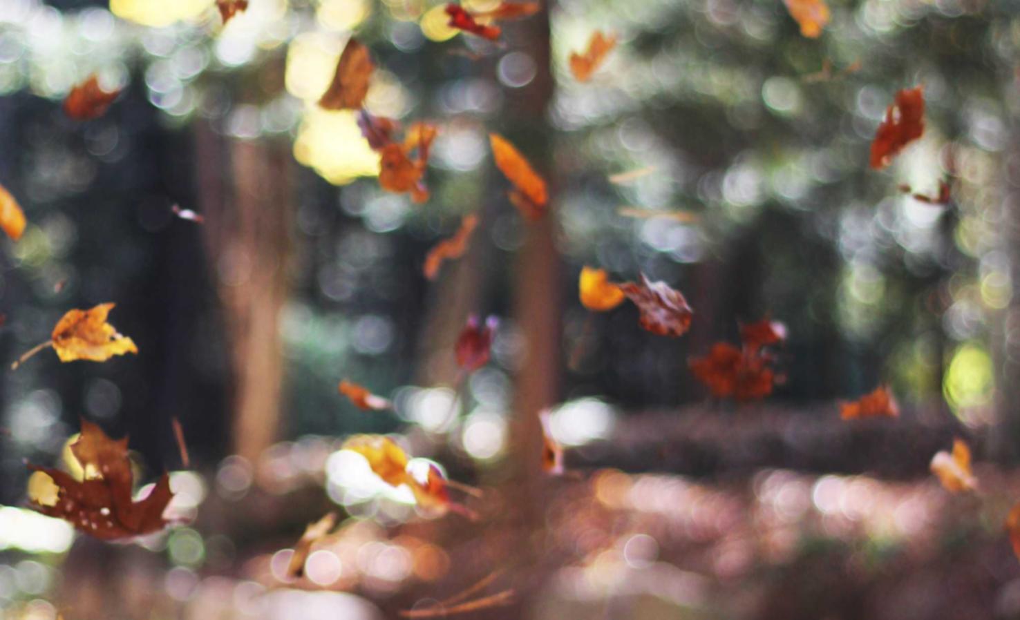 南湾公司注册代理