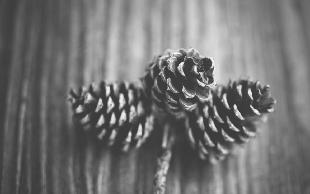 DDOS攻击测试|步步夺金app详情下载教程官网