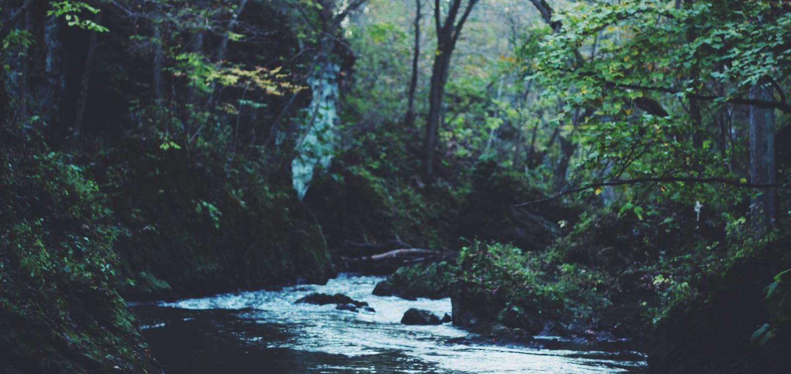 520哈密瓜：消毒产品注册申报代理