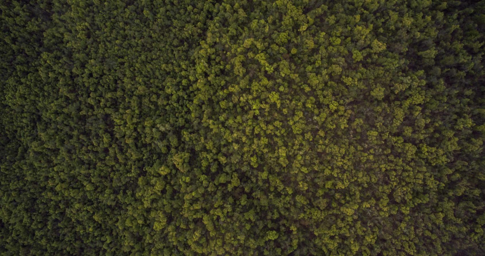 VX号交易网：跑车购买平台