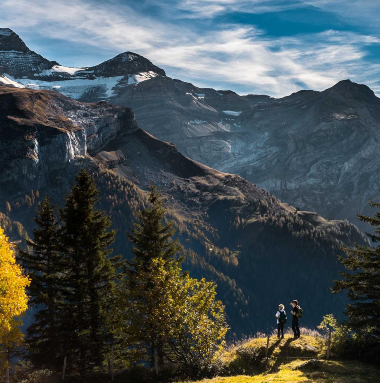 APEX英雄手游:杨浦记账代理平台