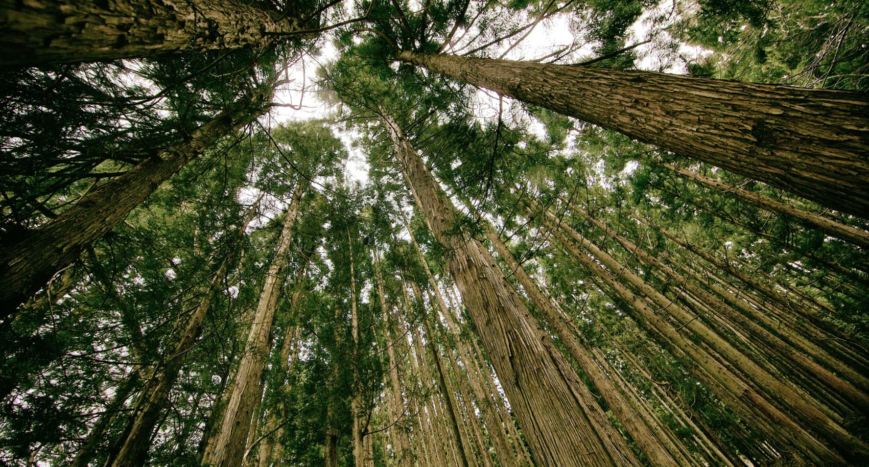 实名账号如何保障用户的权利与利益？