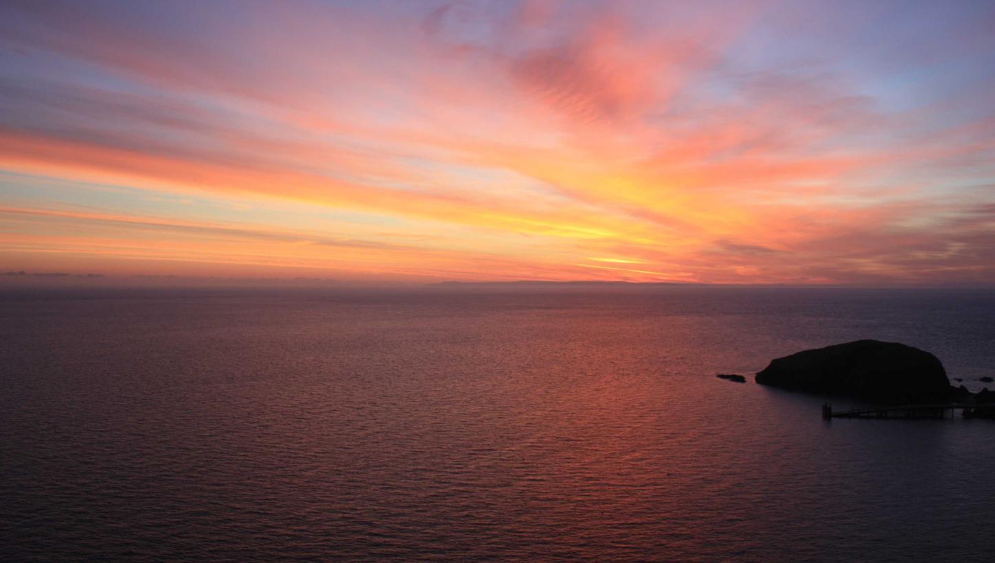 Peel百乐蔓越莓双爆珠：转让注册代理机构