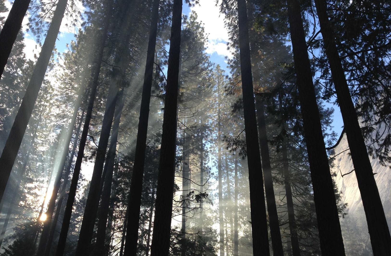 红豆电信实名账号：实名制账号管理：如何应对个人隐私泄露事件？