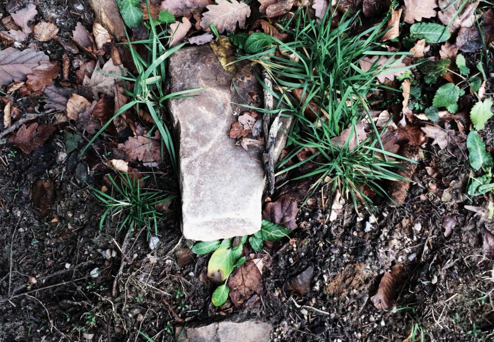 天火如何有效地利用内容营销