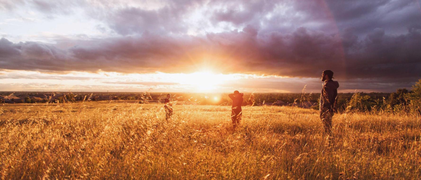 安卓详情下载教程app的app