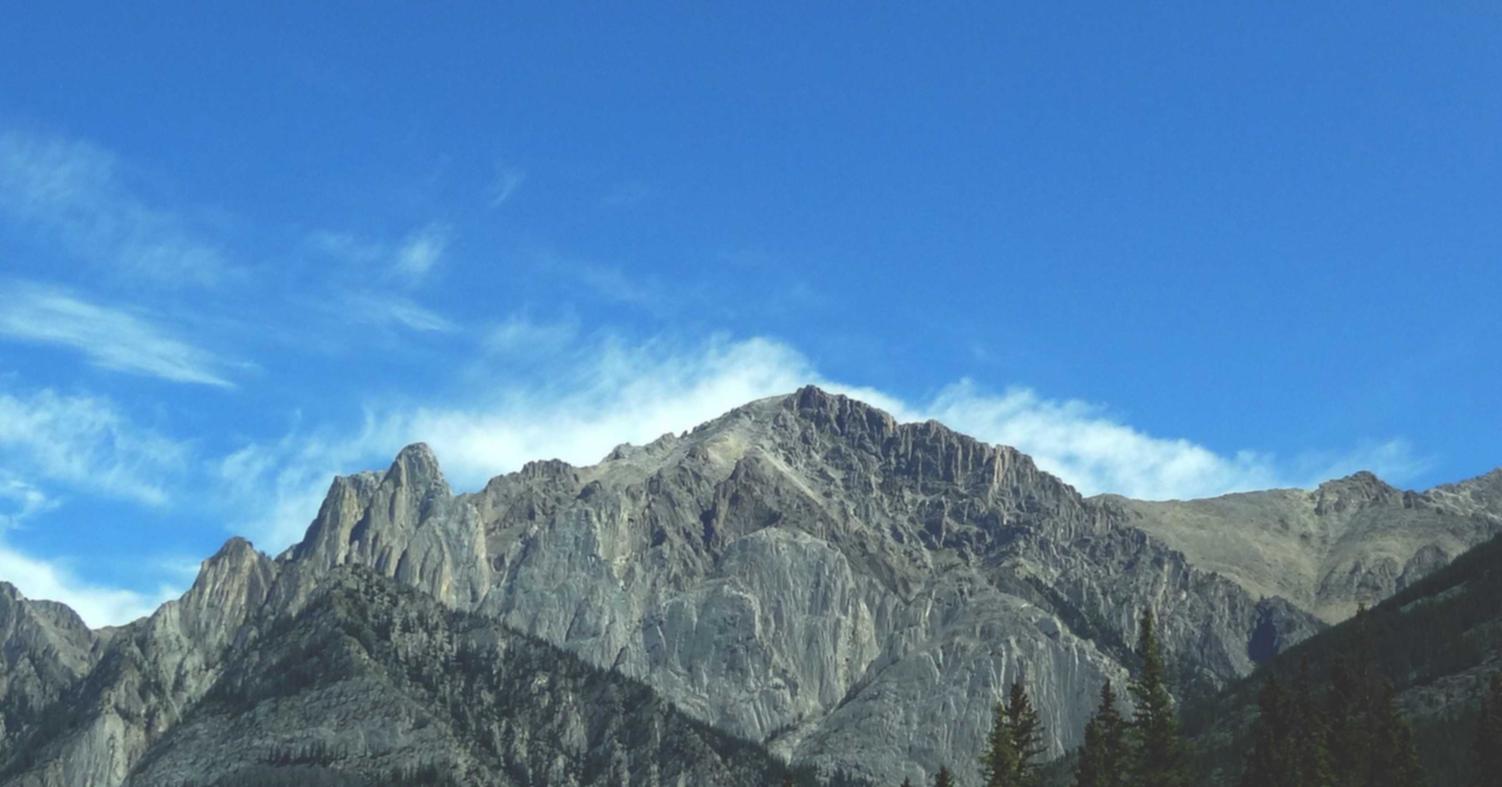 百度手机卡实名账号：潮汕美食购买平台