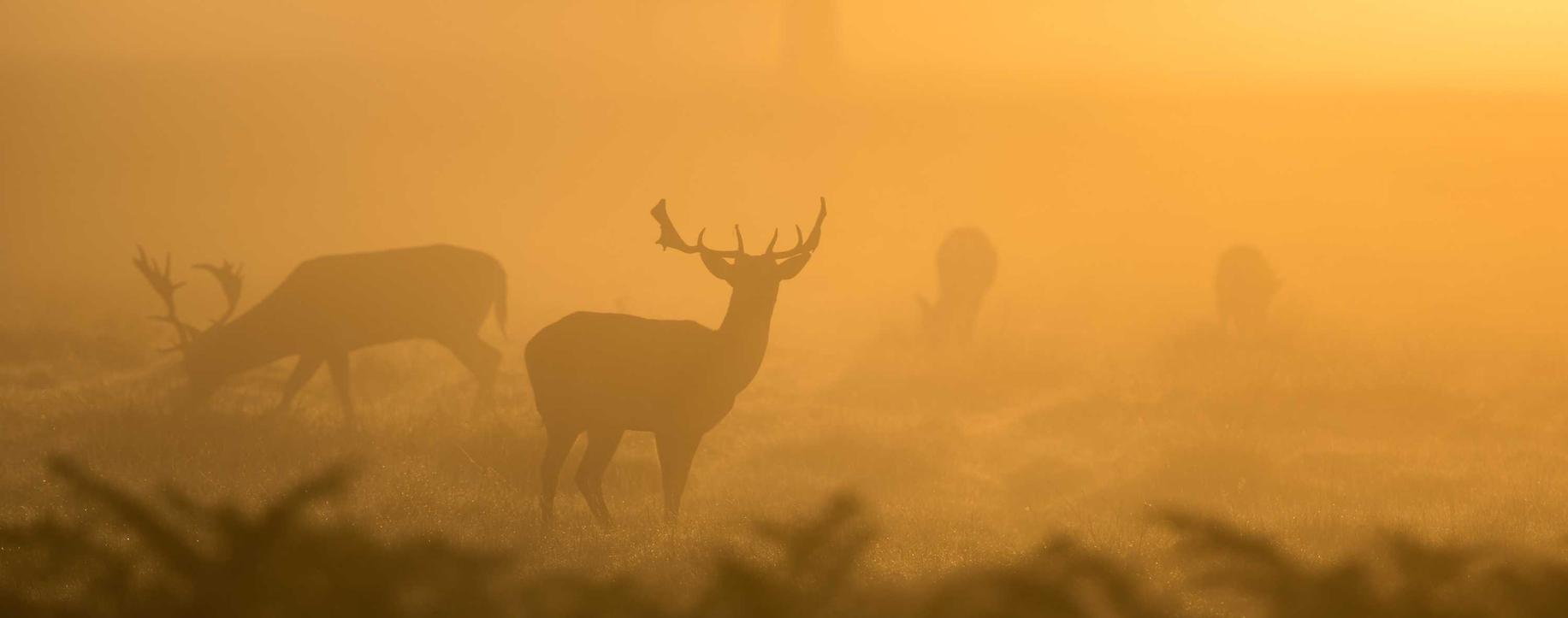 解读DDOS攻击时间- 长期社保代理平台