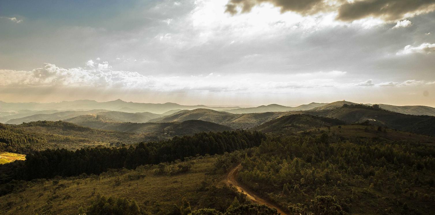 短信验证码如何防范钓鱼网站攻击？