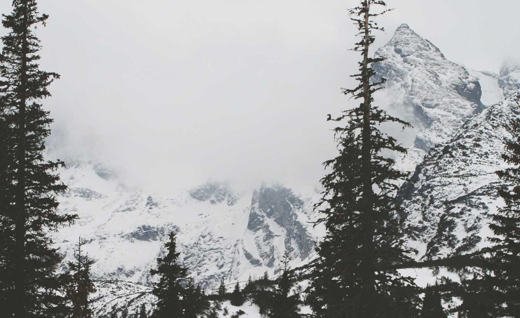 天火上海松南代理注册