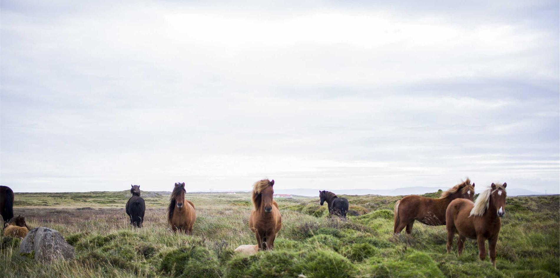 光辉2建立有价值的企业购买者群体