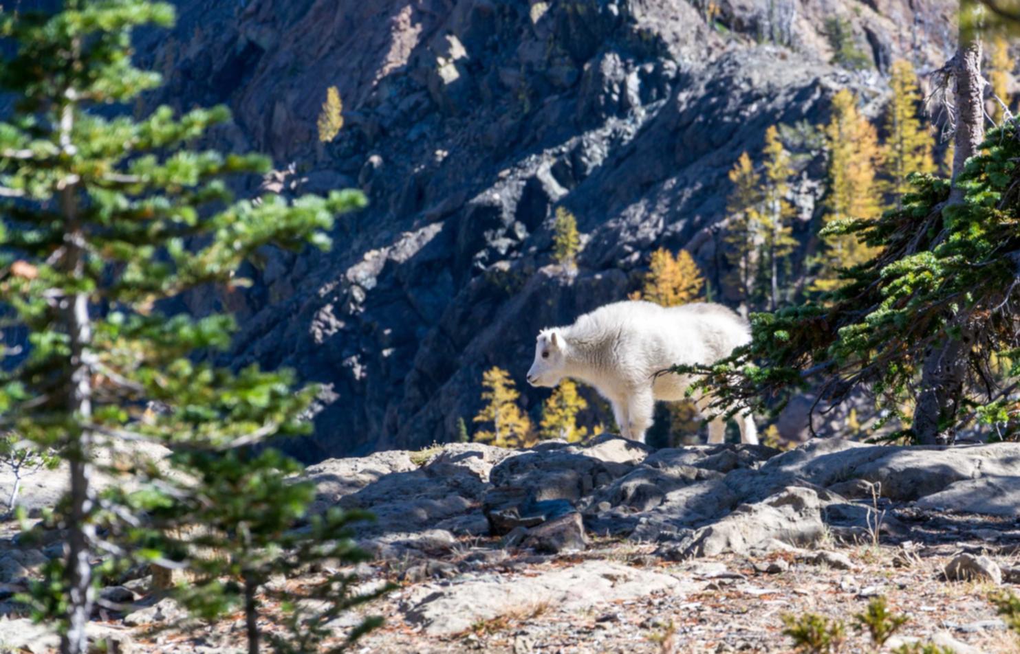 恩博3宁陵注册公司代理记账