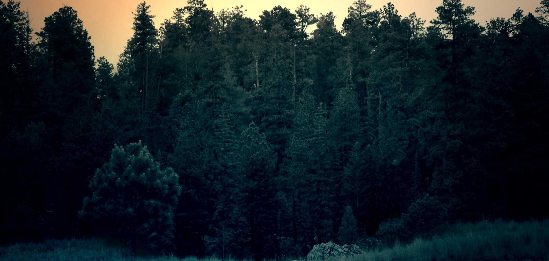 火星如何利用网络营销提高销售额？