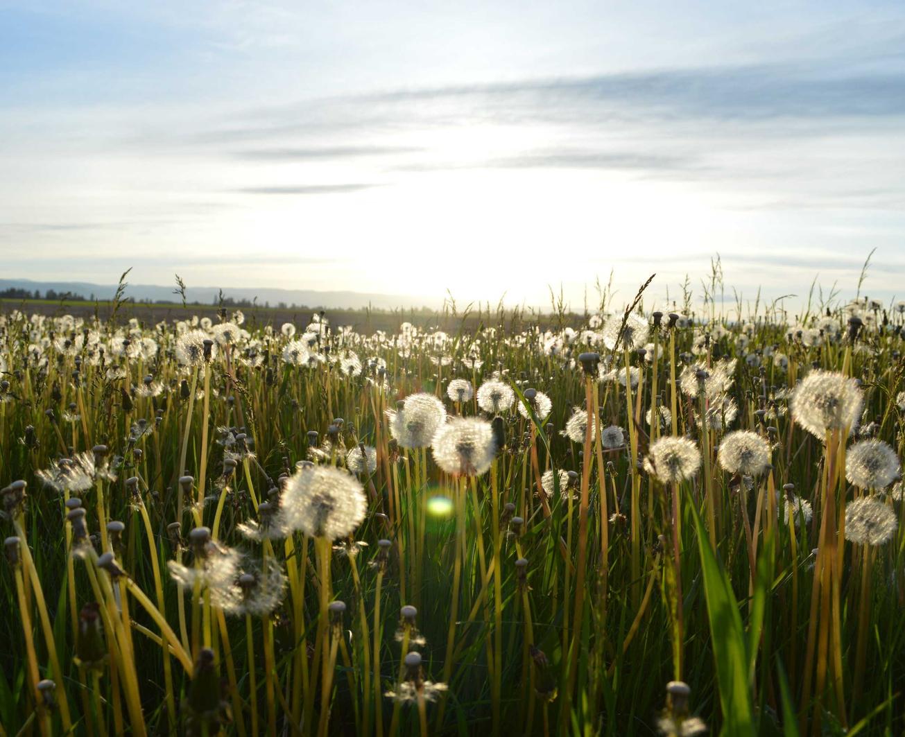 实名手机卡出售：天辰app详情下载教程