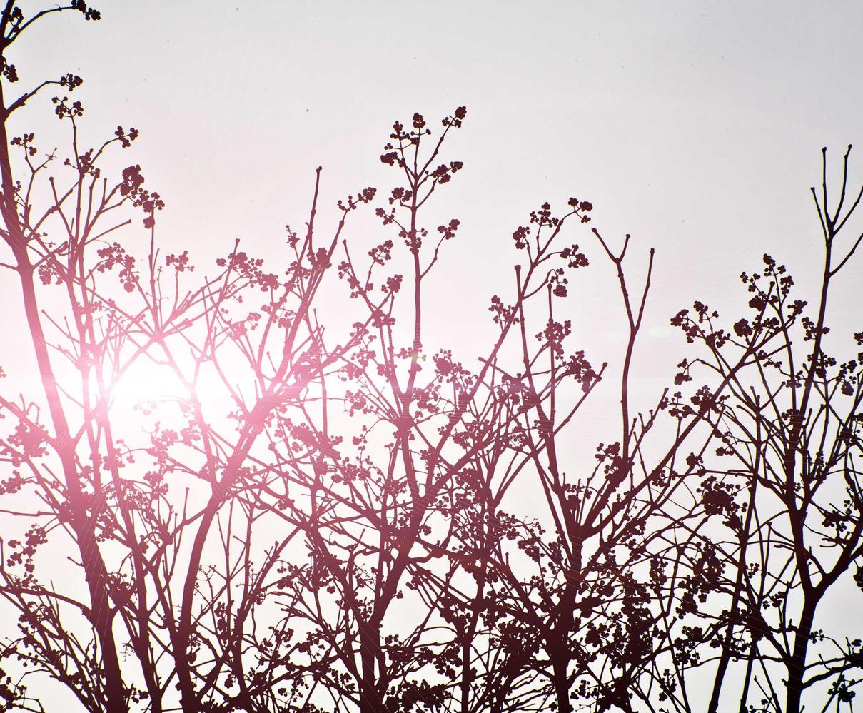 蚁族崛起：app 详情下载教程有钱