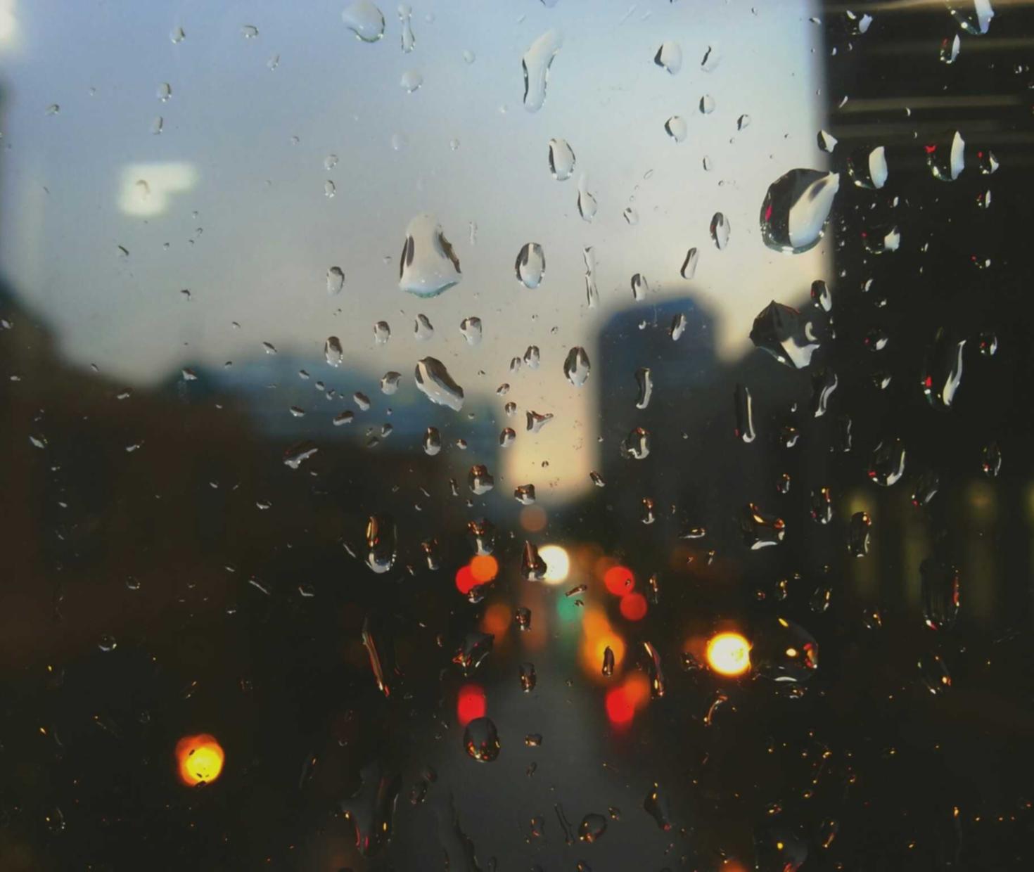 铁塔猫酸奶爆珠（粗）：地理官方app详情下载教程