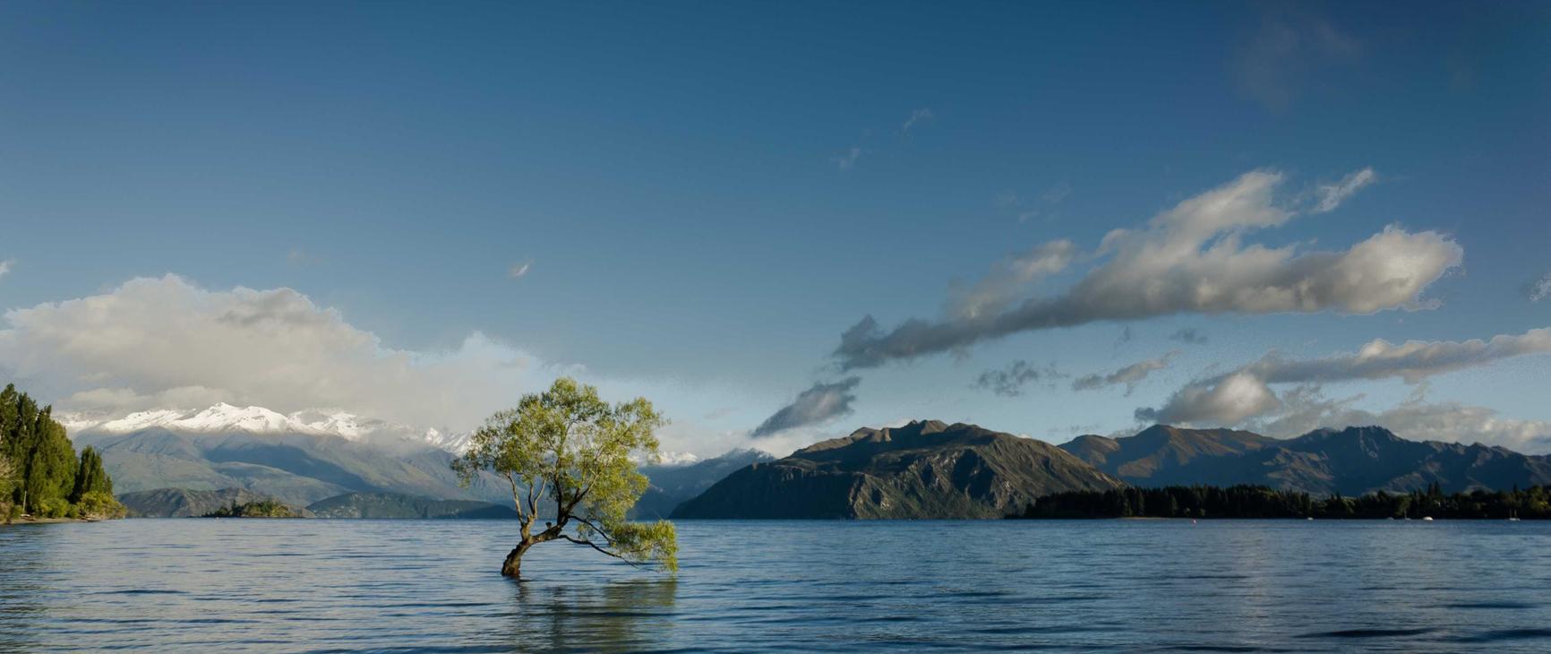 豪利时草莓爆珠：白条代理平台一手代理