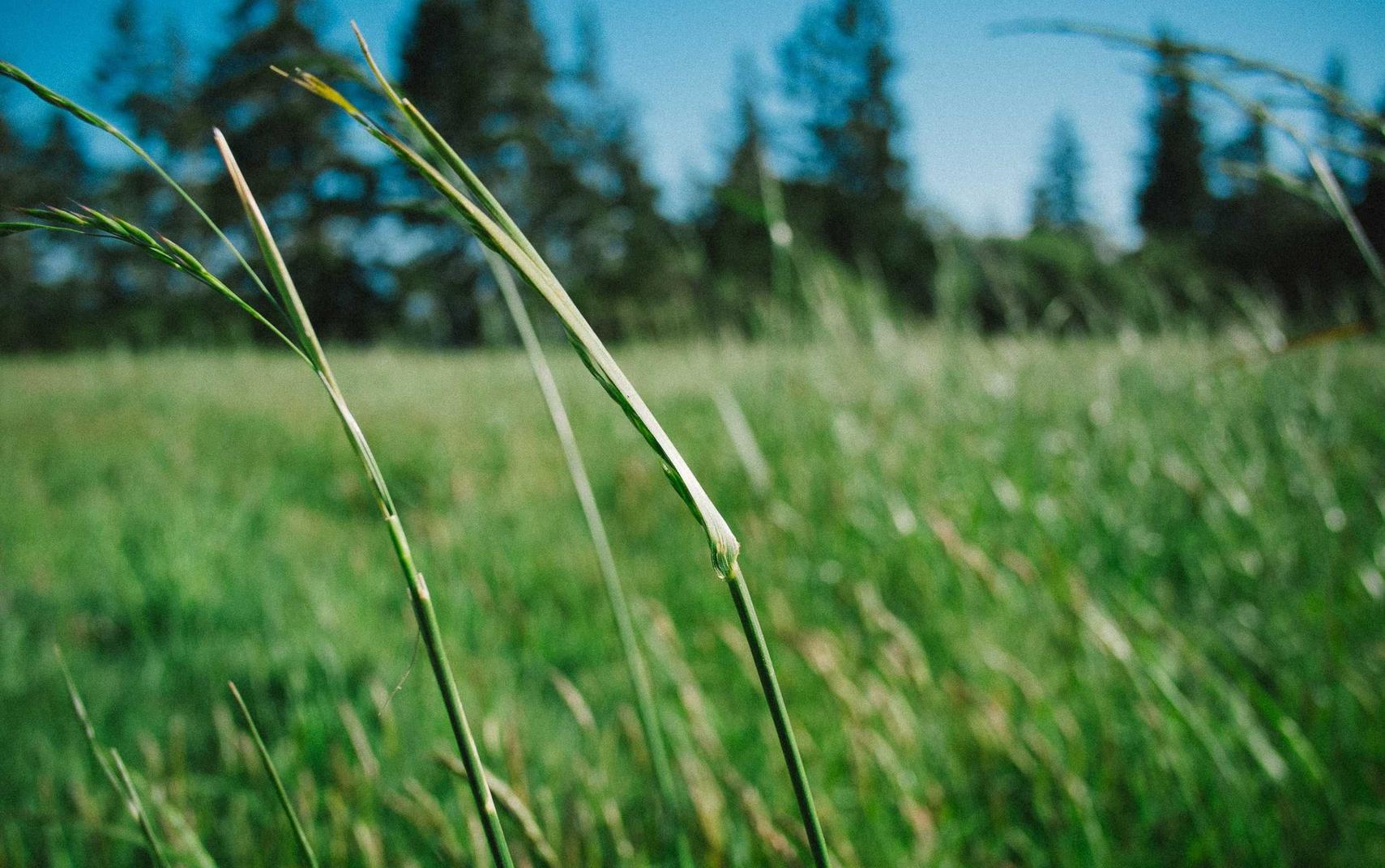 鸣潮：龙城战歌代理平台