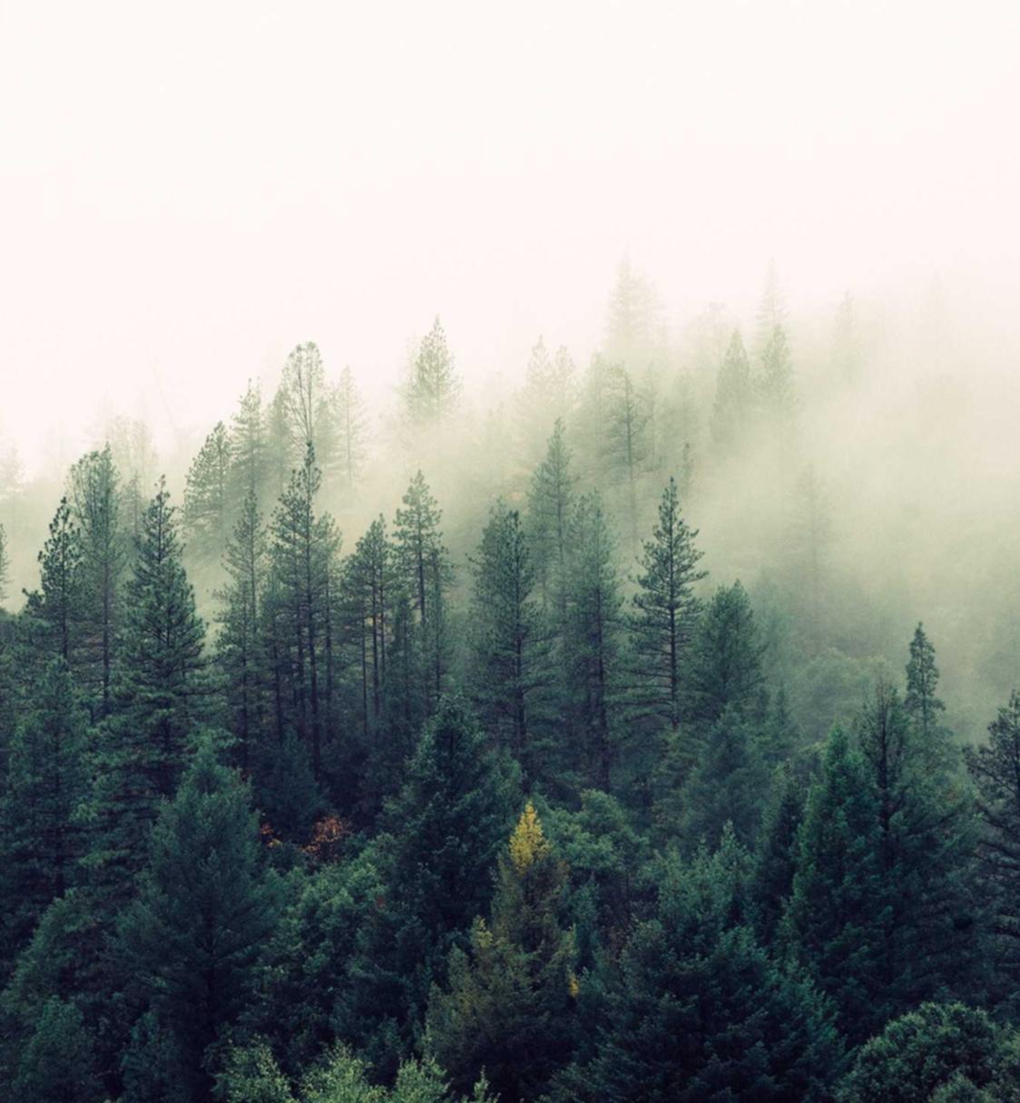 深度ip实名账号:详情下载教程新版华人app