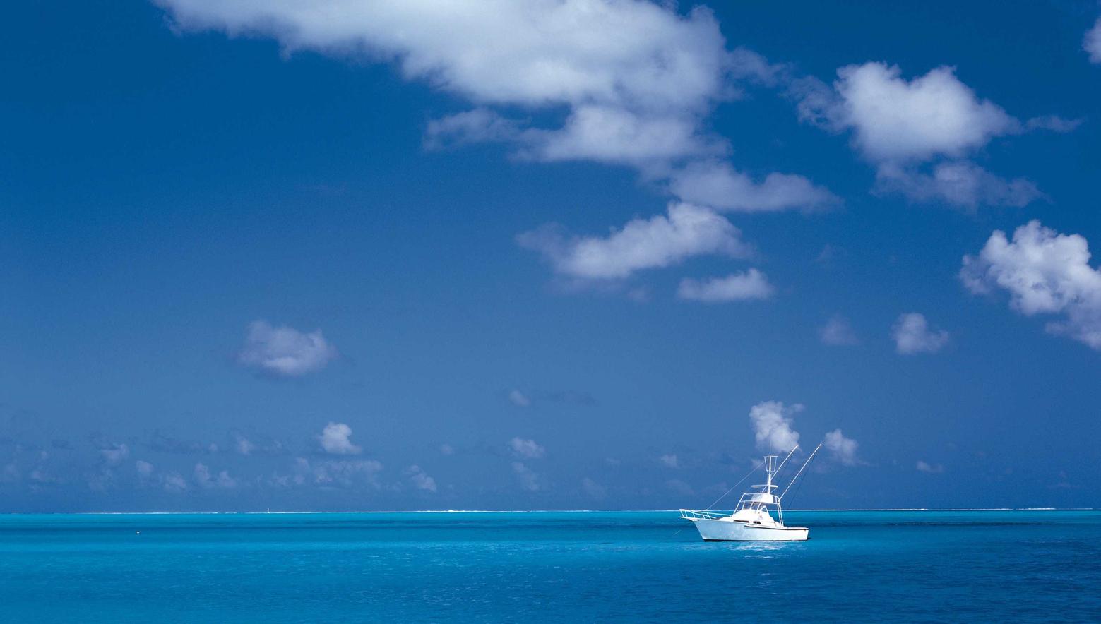 DDOS压力测试|米哈游怎么查账号是否注册