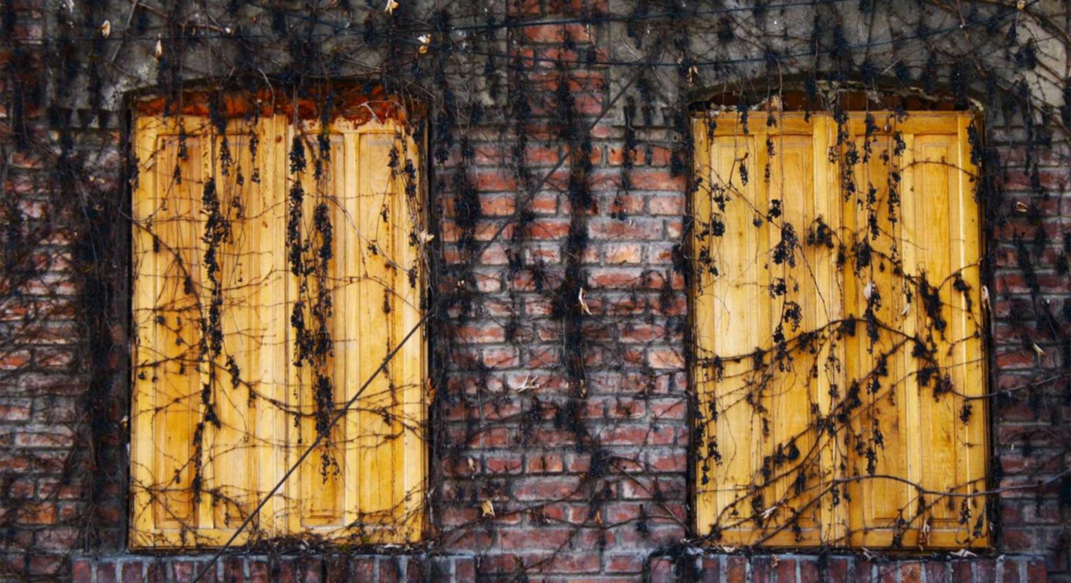 极光实名账号:微信收款小音响购买平台