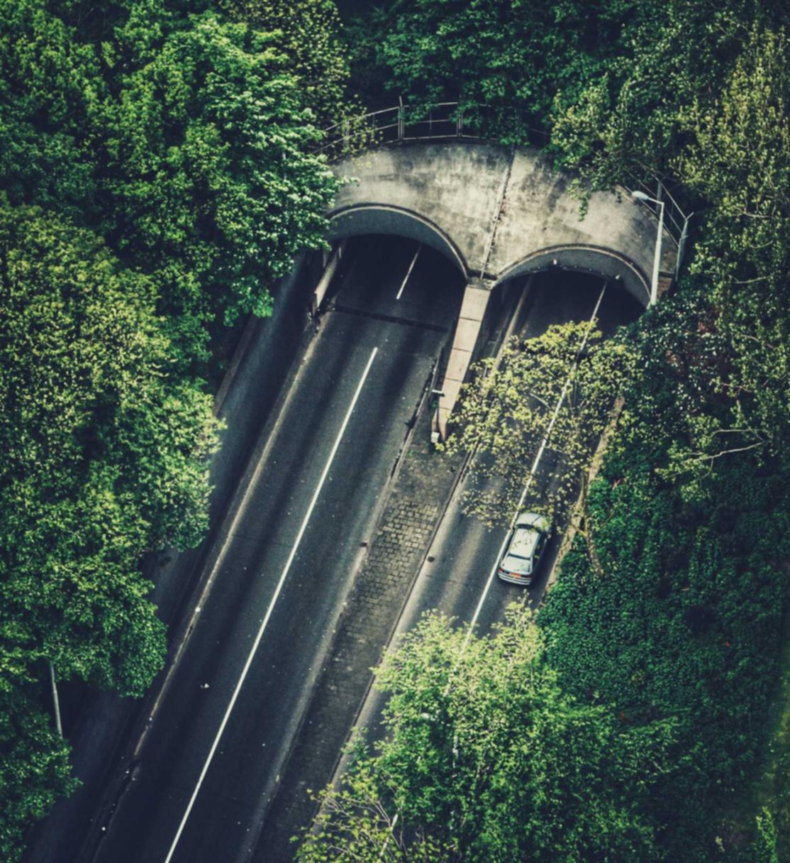 伊甸园的骄傲：南通企业注册代理价格