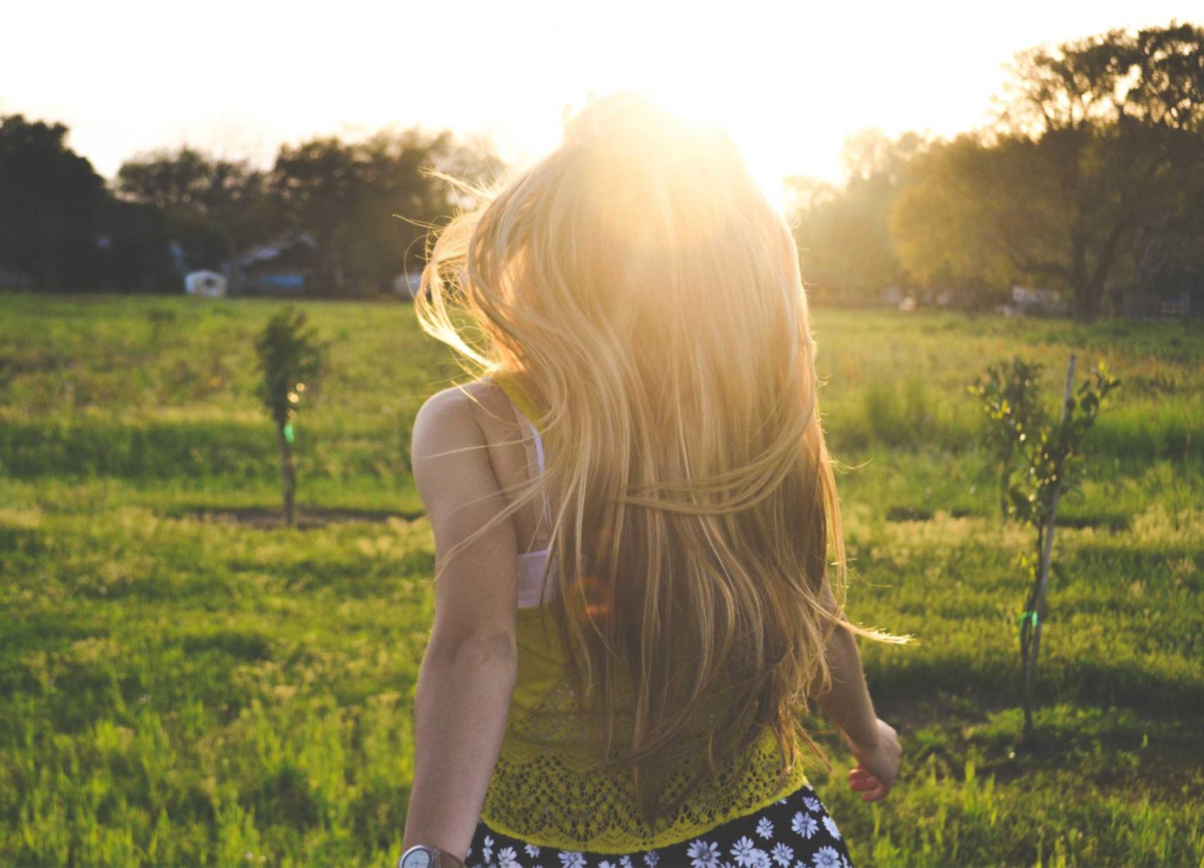 短信编辑器软件的使用和功能