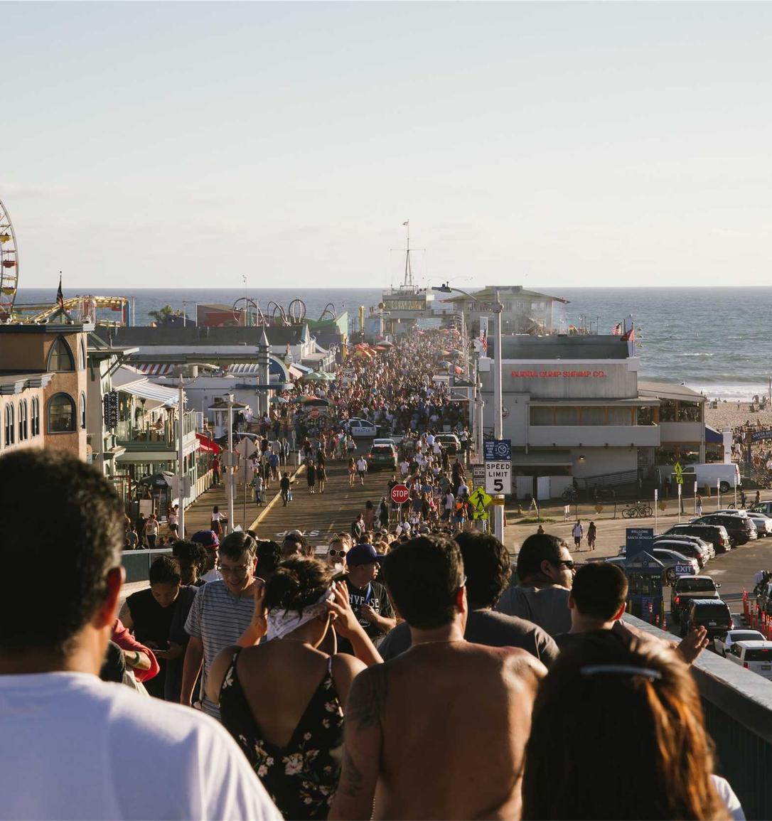 欧盟寿百年（黑寿）：购买书的平台