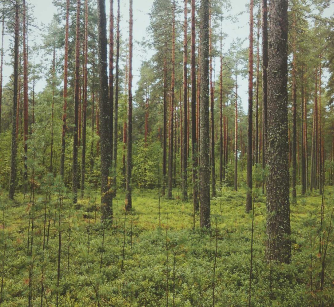 vx号出售：温宿小型财务代理平台