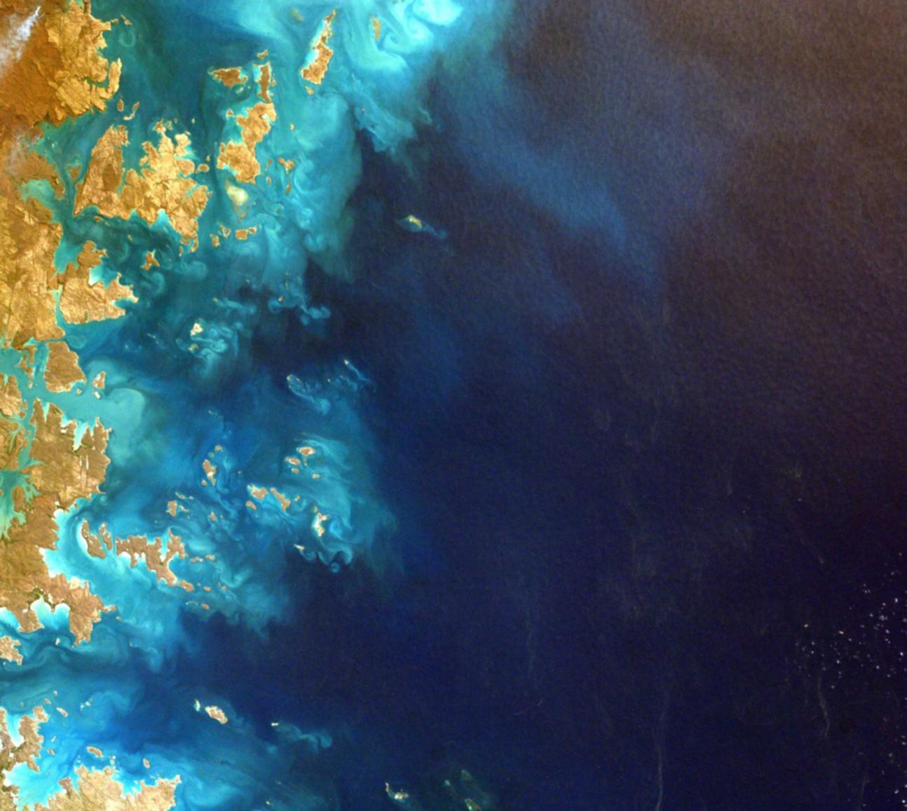 支付宝号买卖:瑞安注册财务代理企业公司