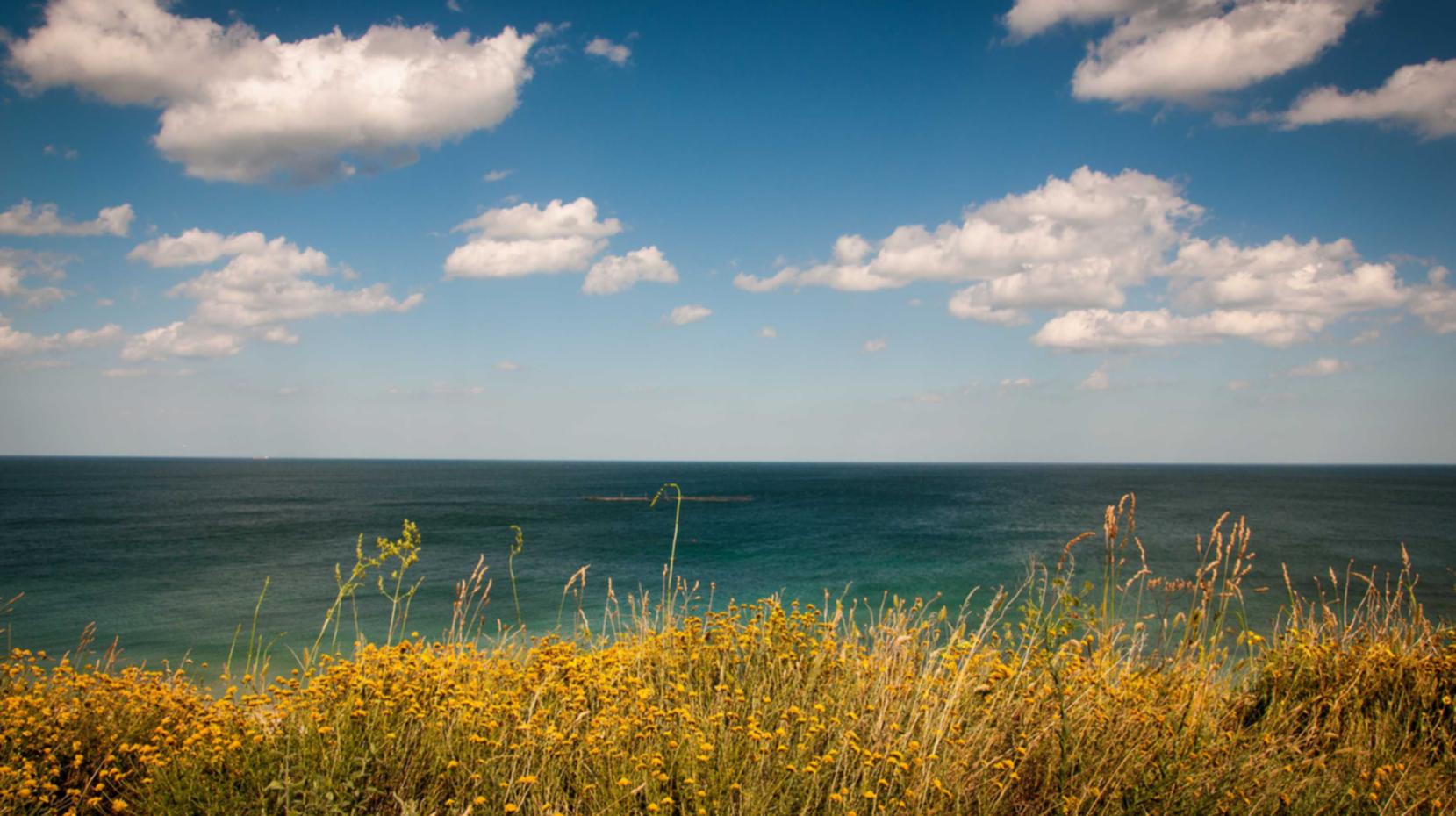 腾讯云实名账号：爱聊平台代理