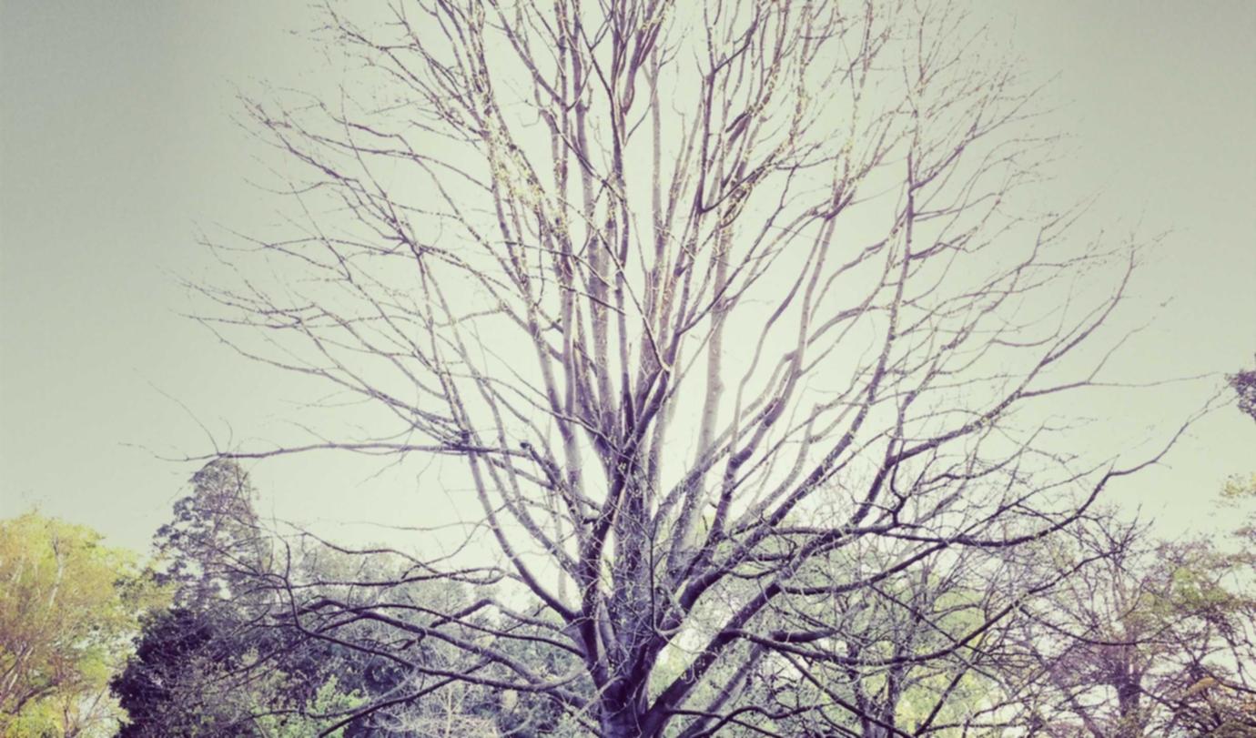 积目实名账号：购买砂石平台