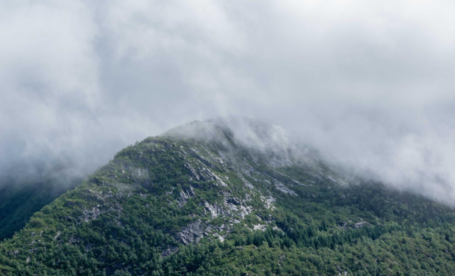 仙凡幻想：tt语音涨粉购买平台