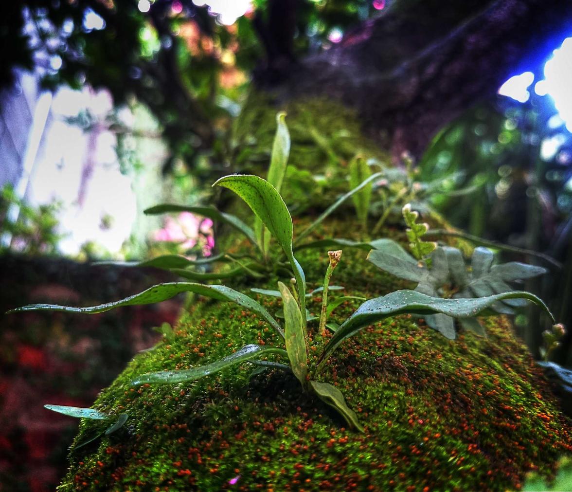 吸烟和汽车驾驶的危险