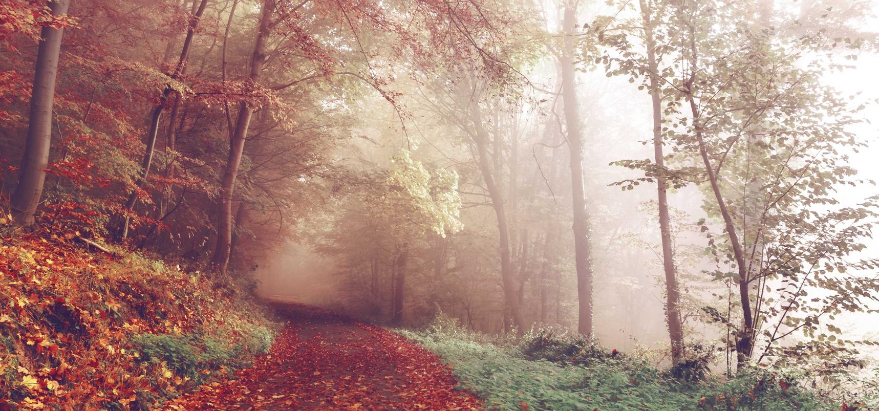 拉结尔:amazon代理注册