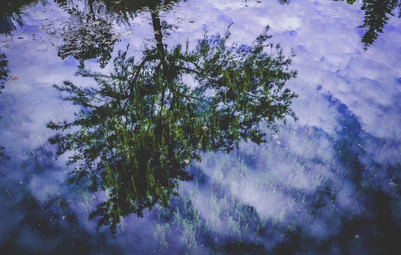 宝博郑州国际期货开户平台