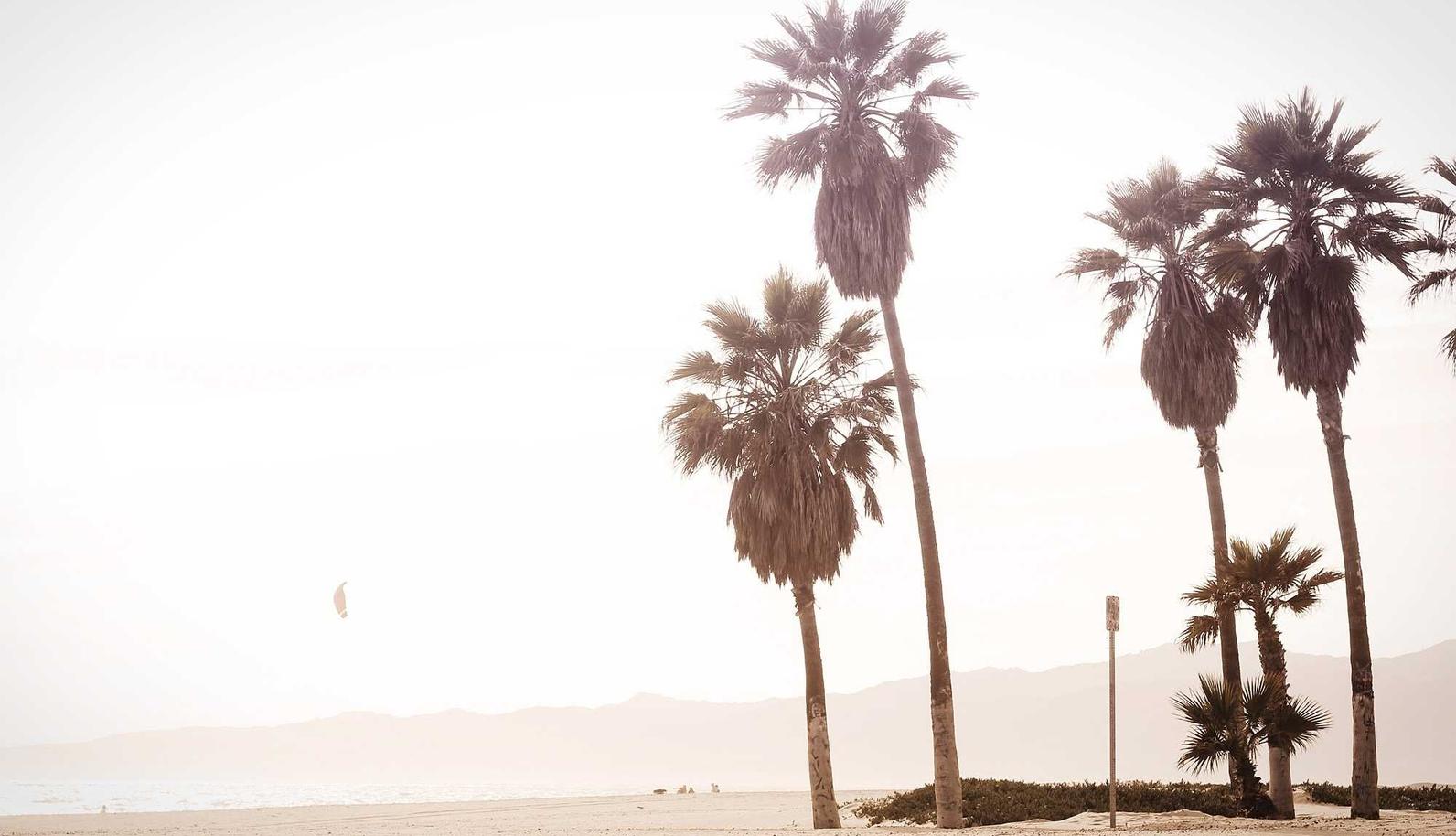 解读全球DDOS攻击监控- 阳注册公司代理记账