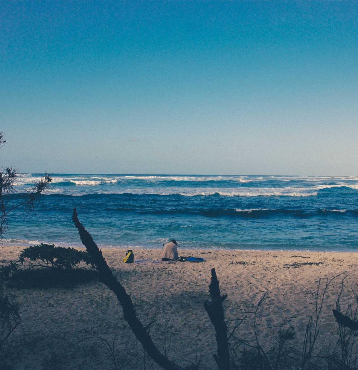 小红书实名账号:阜阳书画购买平台