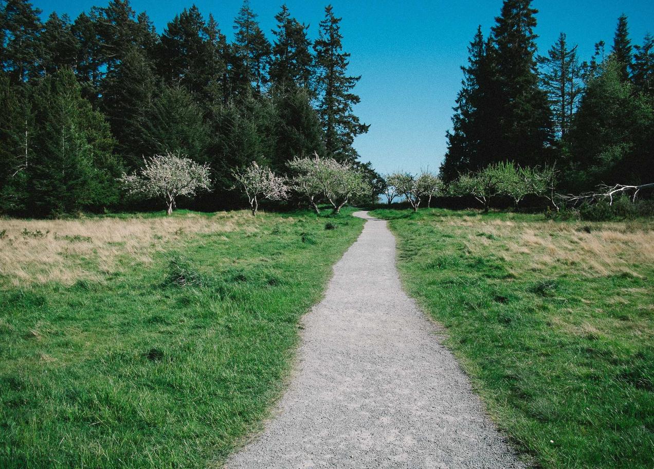 拉新总代理平台
