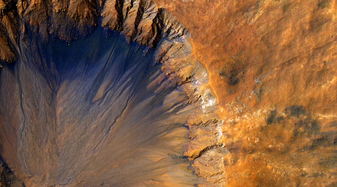 博希政务助手app详情下载教程