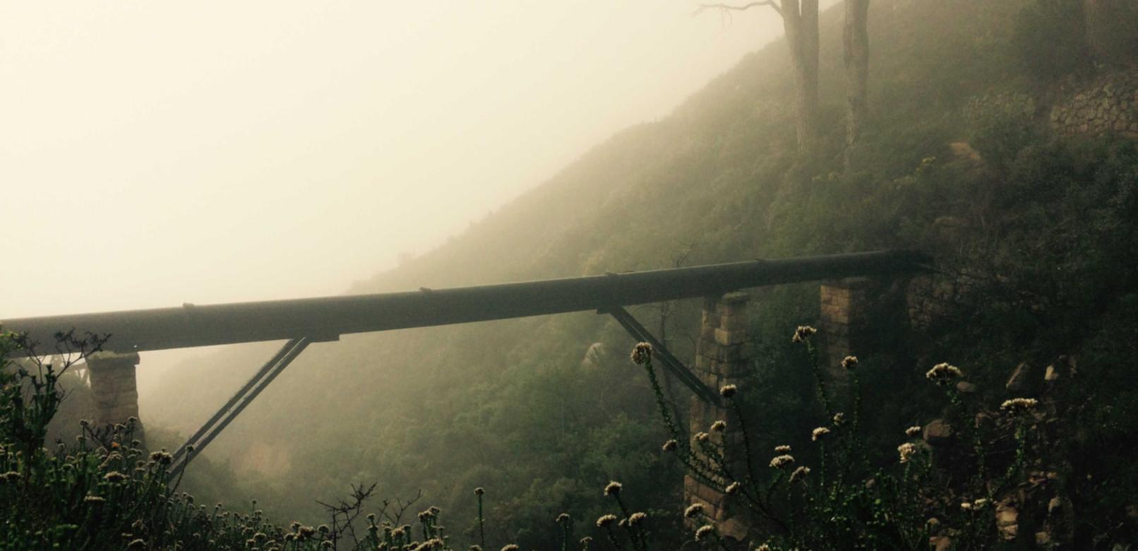 腾达注册新账号拍抖音可信度高吗