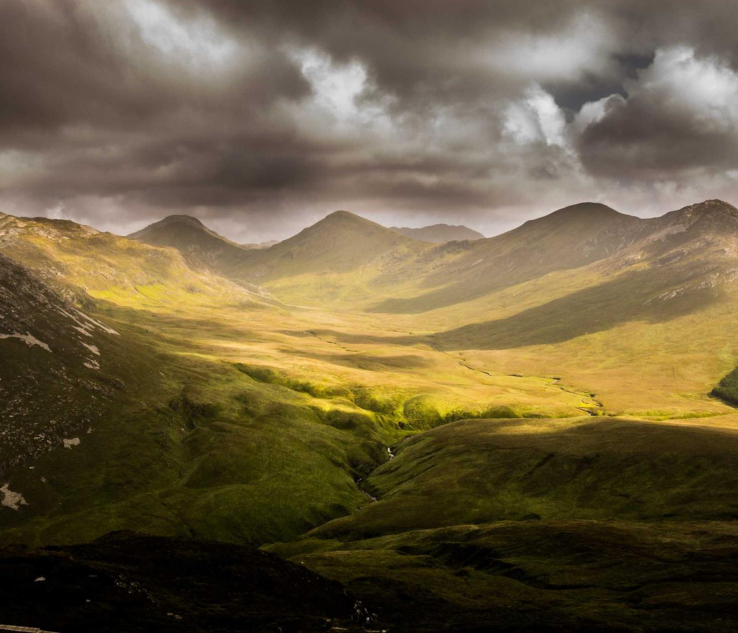 星辉2萧山企业注册代理服务